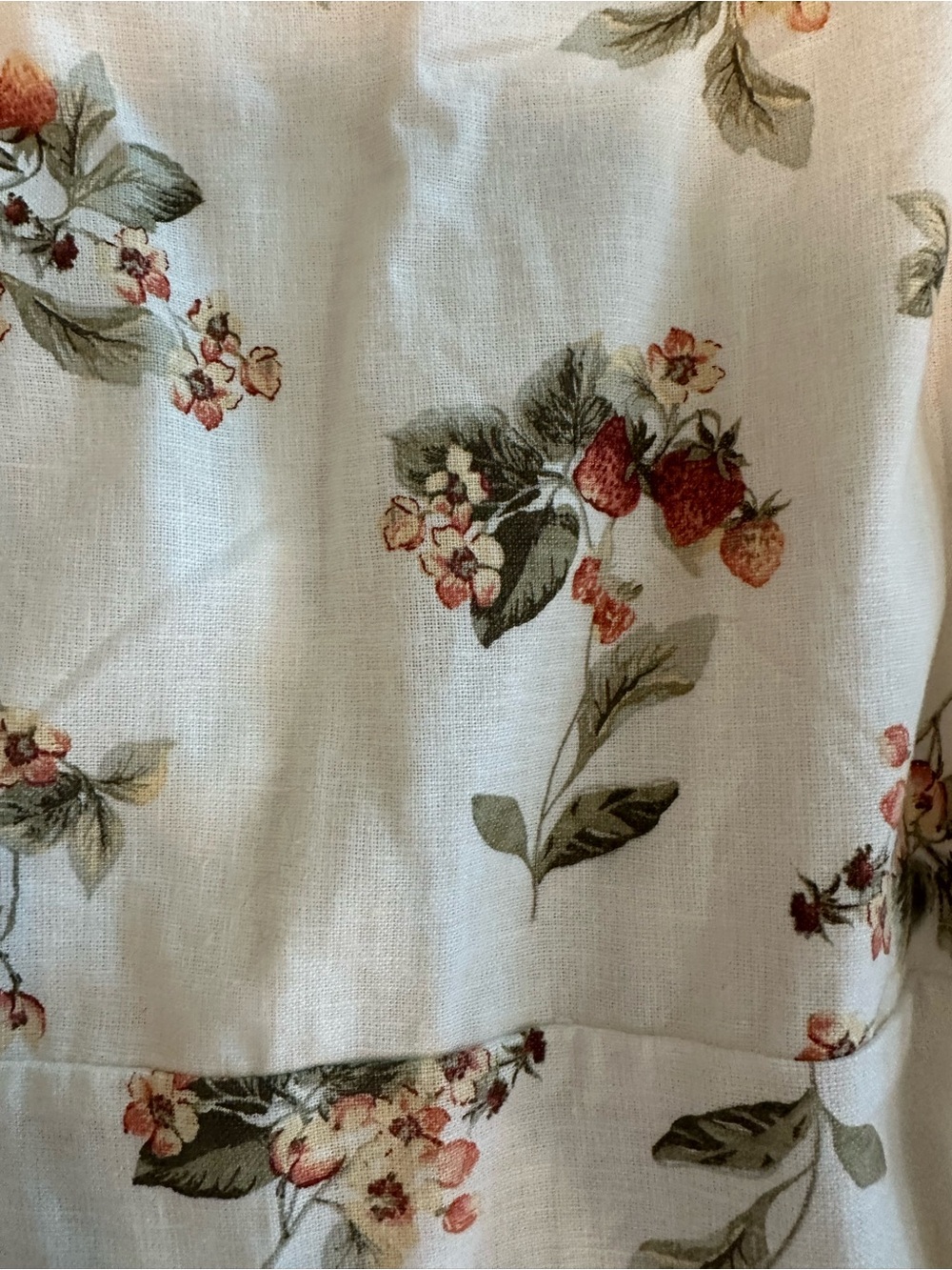 Abercrombie & Fitch strawberry floral mini dress - Picture 3 of 4